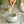 Charger l'image dans la galerie, collagene au matcha