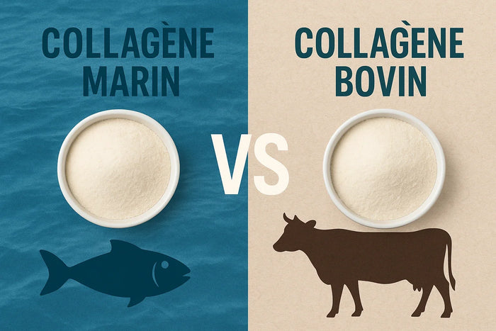 Collagène marin ou bovin : deux bols de collagène en poudre, l'un sur fond de mer avec un poisson, l'autre sur fond beige avec une vache