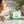 Femme aux cheveux brillants et peau éclatante tenant un bol de matcha latte au collagène PEPTAN® 8500mg pour peau, cheveux et ongles renforcés

